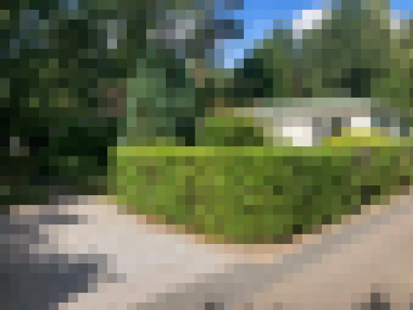 Ploegdijk 2 H351 Lochem thumbnail 20
