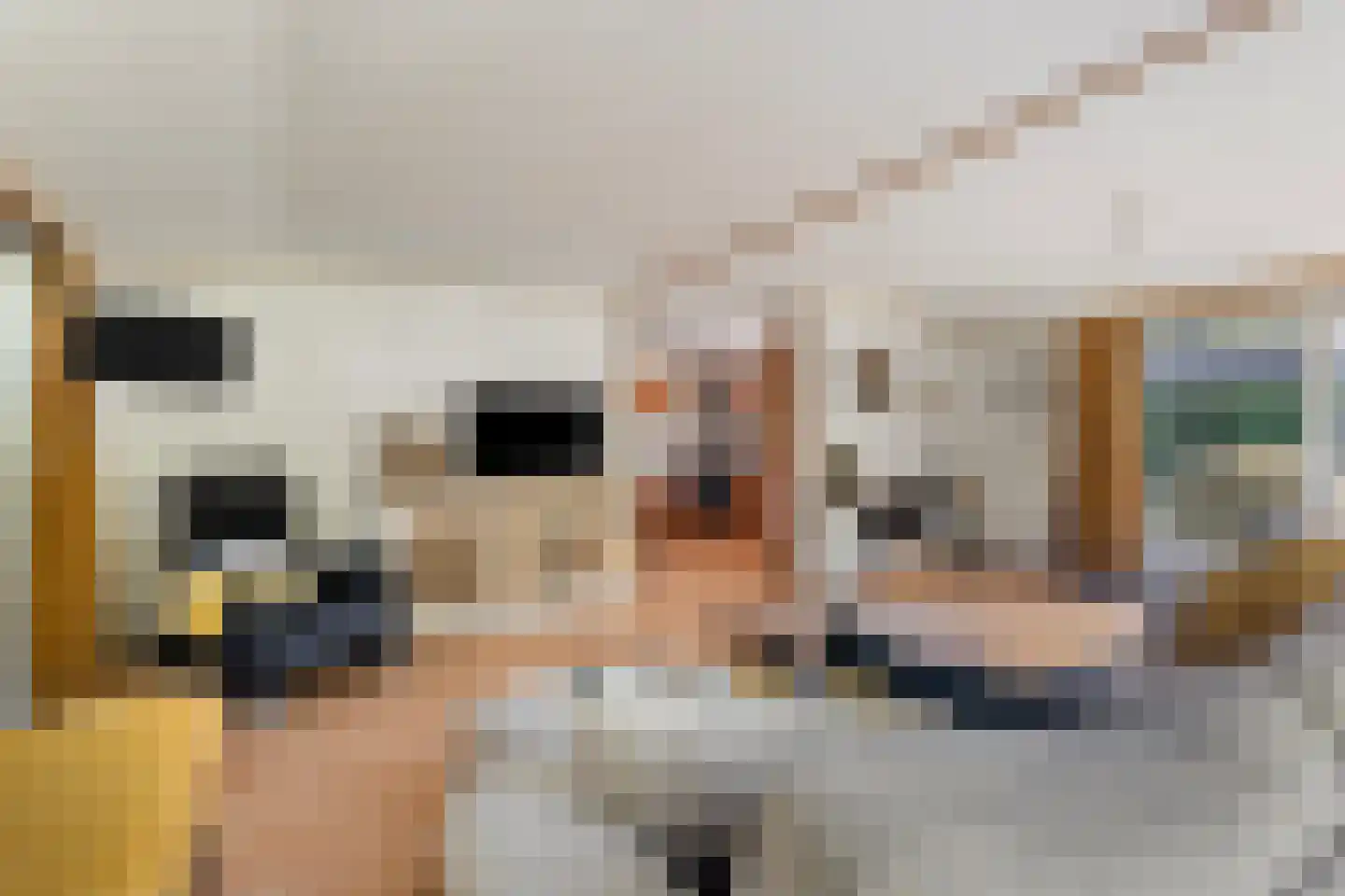 Ploegdijk 2 H359 Lochem thumbnail 12