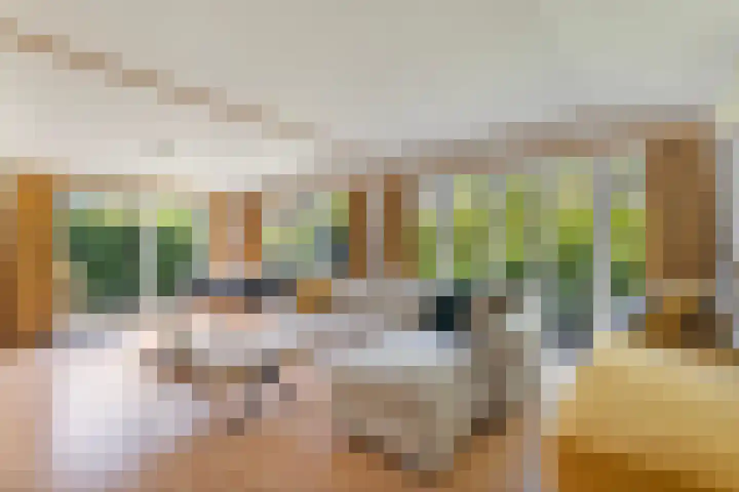 Ploegdijk 2 H359 Lochem thumbnail 13