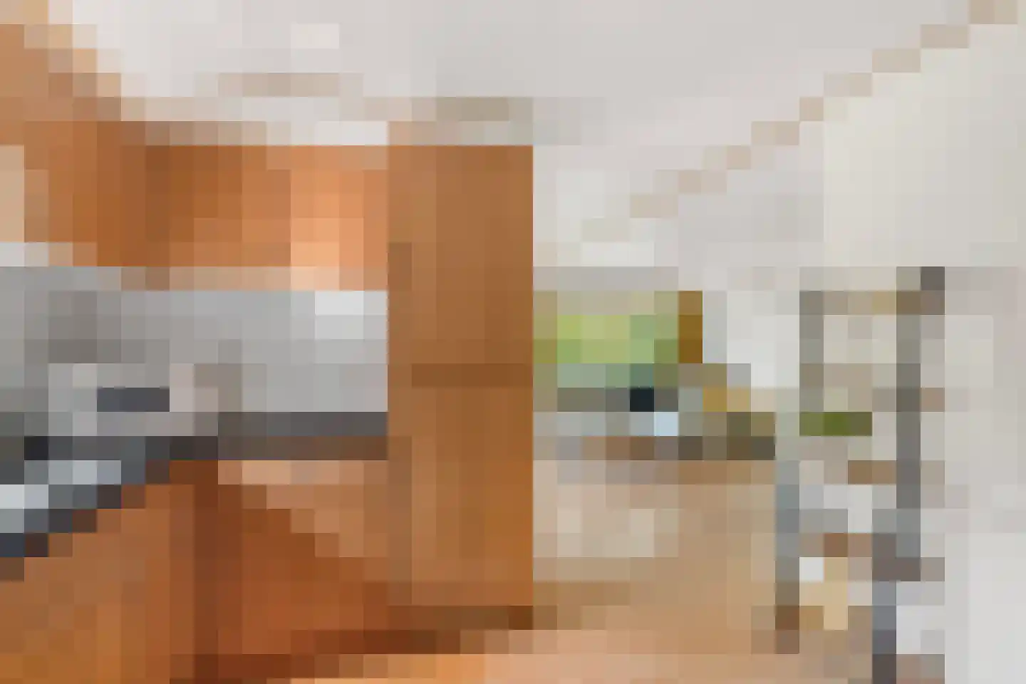 Ploegdijk 2 H359 Lochem thumbnail 20