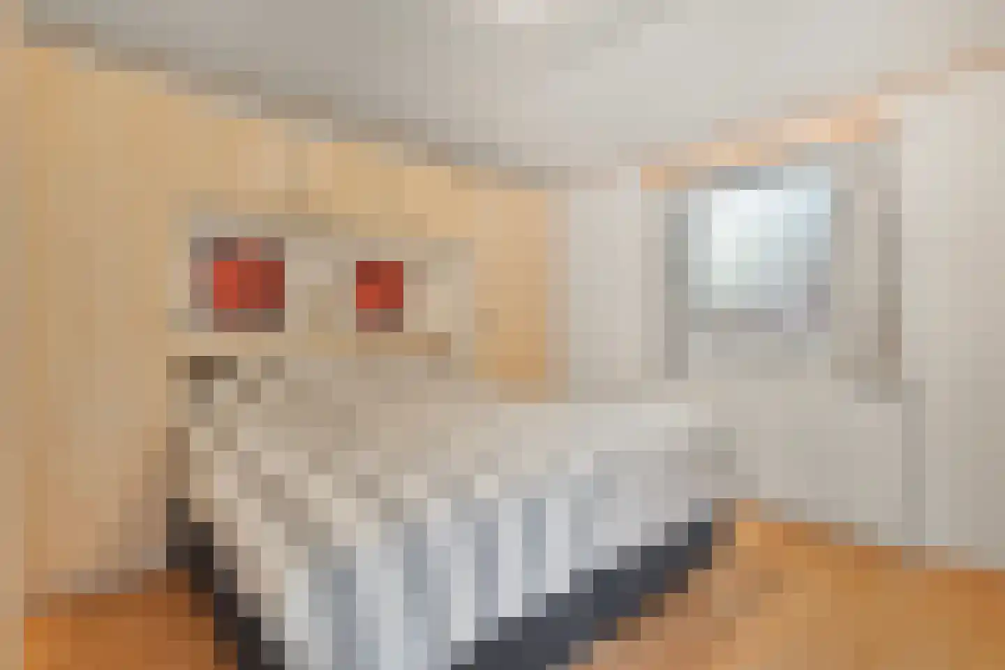 Ploegdijk 2 H359 Lochem thumbnail 22