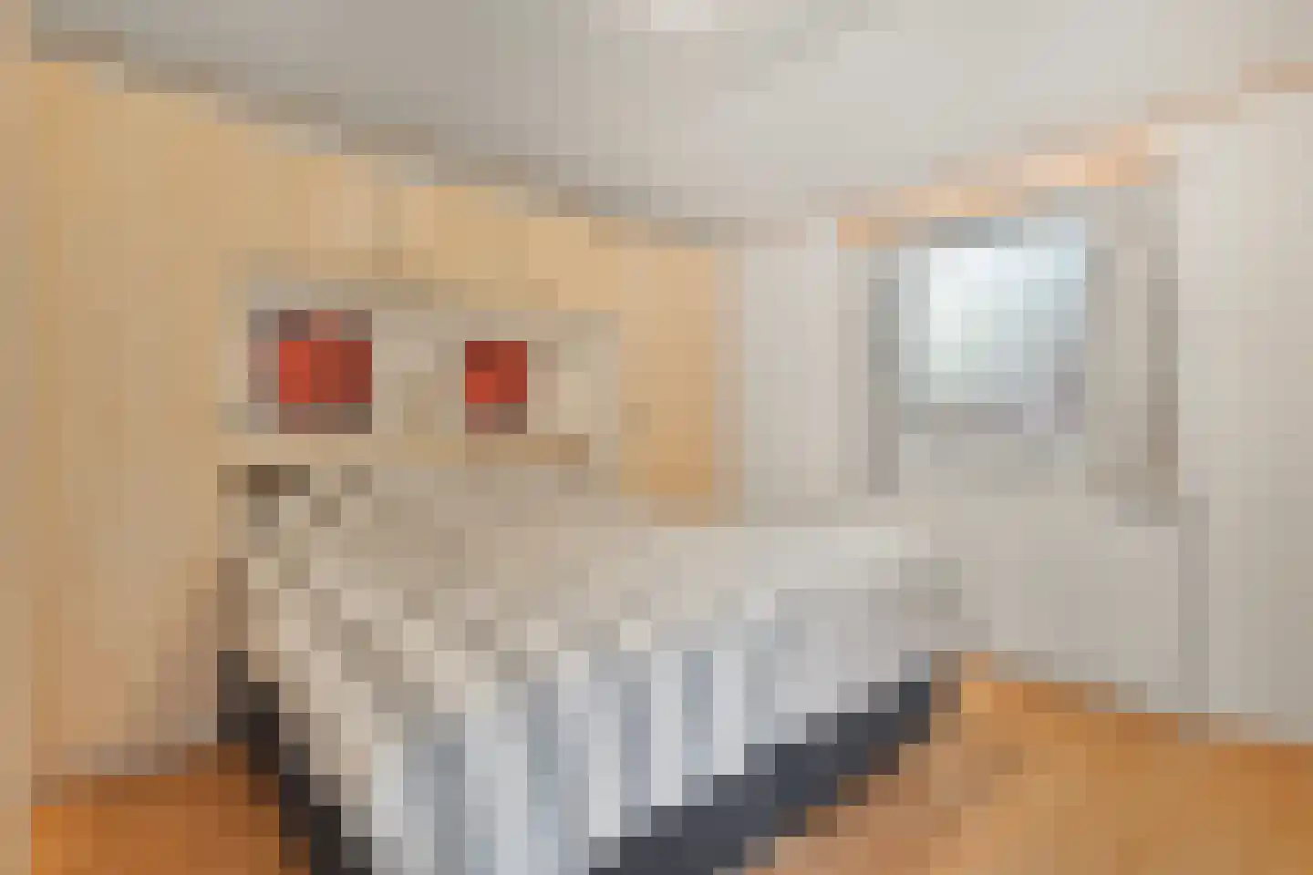 Ploegdijk 2 H359 Lochem thumbnail 23
