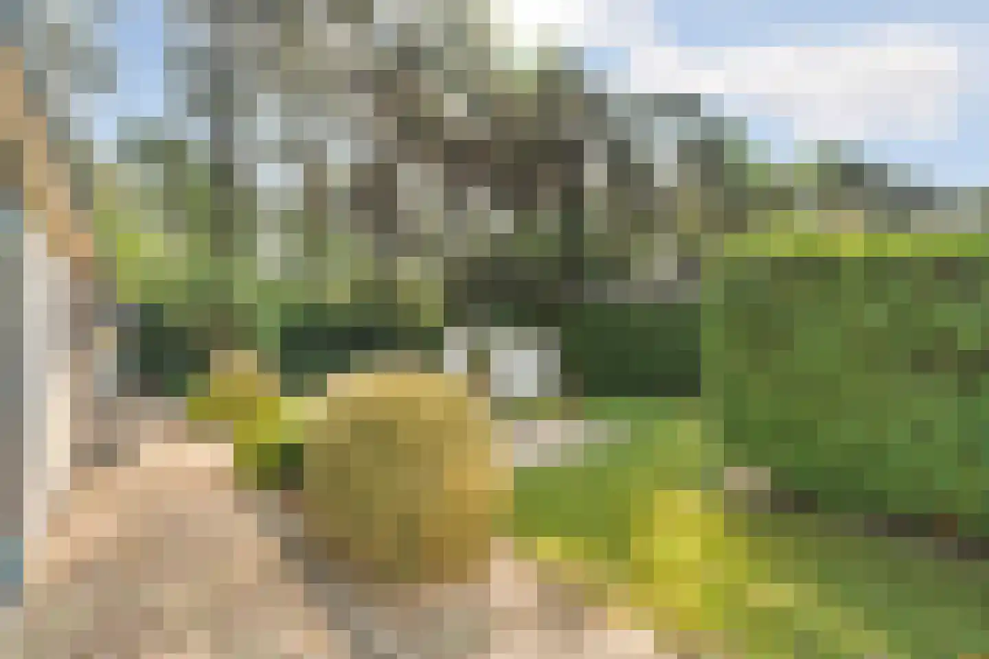 Ploegdijk 2 H359 Lochem thumbnail 32