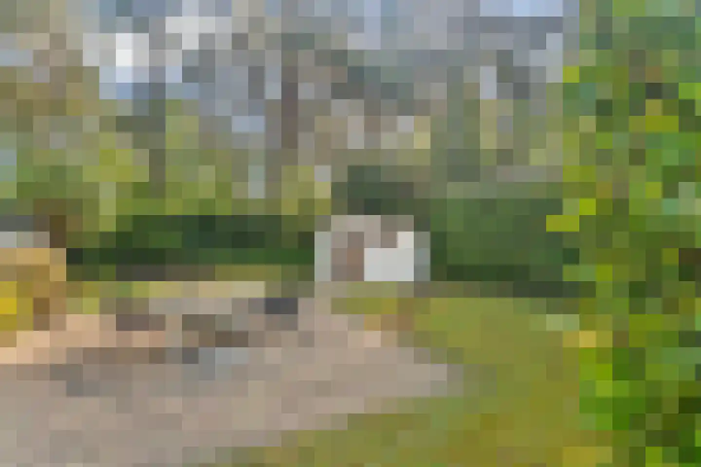 Ploegdijk 2 H359 Lochem thumbnail 33