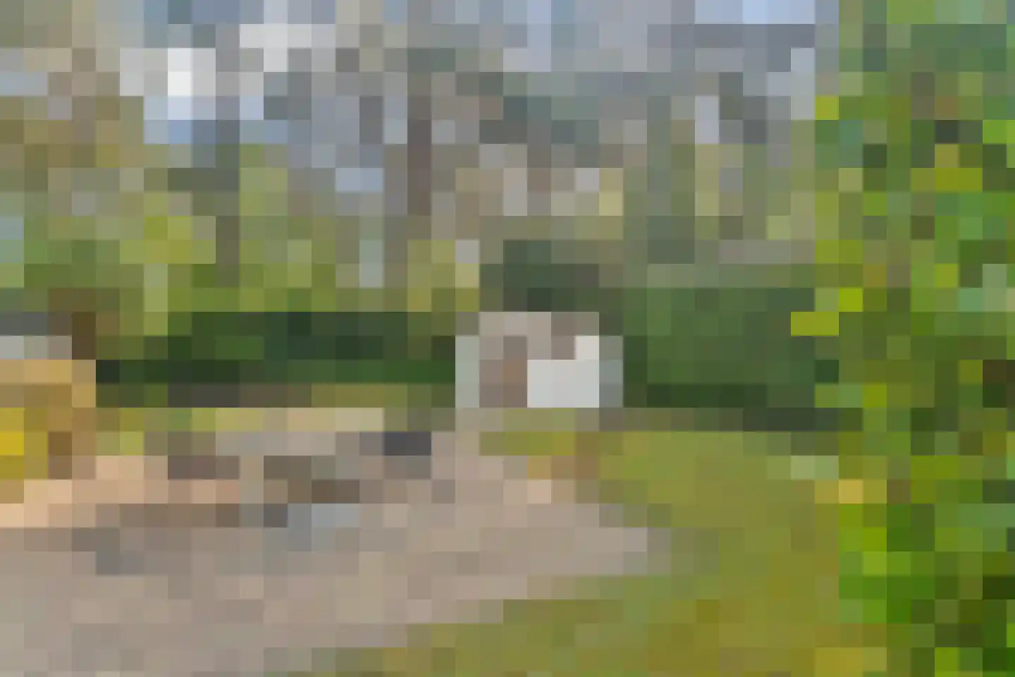Ploegdijk 2 H359 Lochem thumbnail 34
