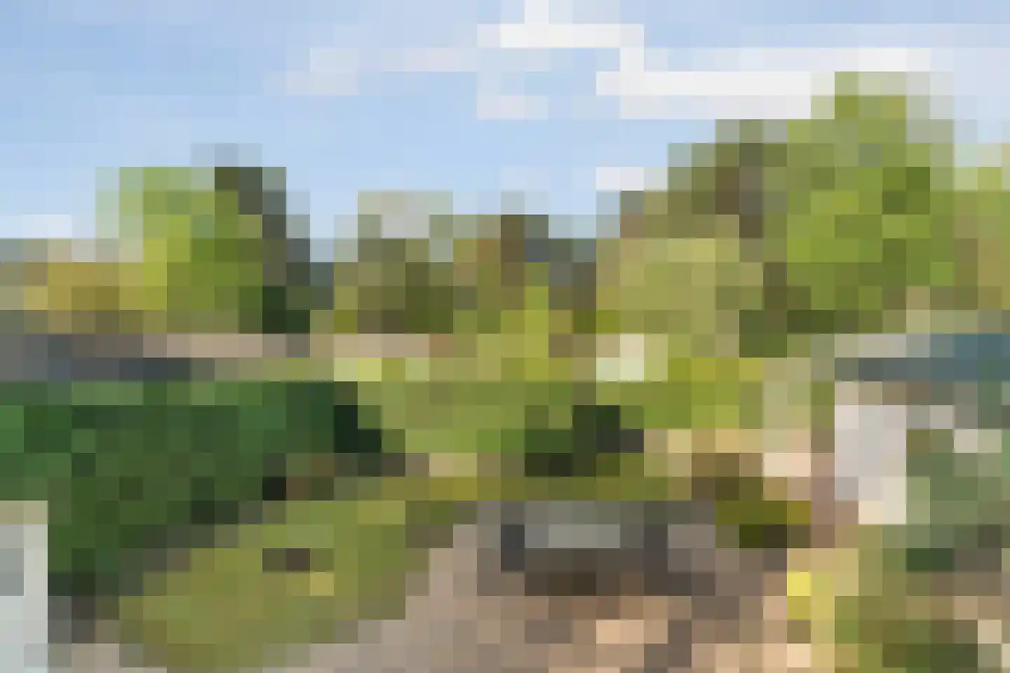 Ploegdijk 2 H359 Lochem thumbnail 36