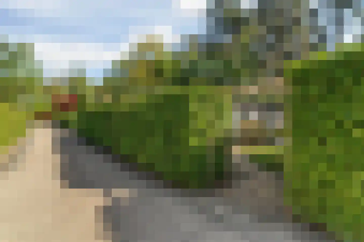 Ploegdijk 2 H359 Lochem thumbnail 37