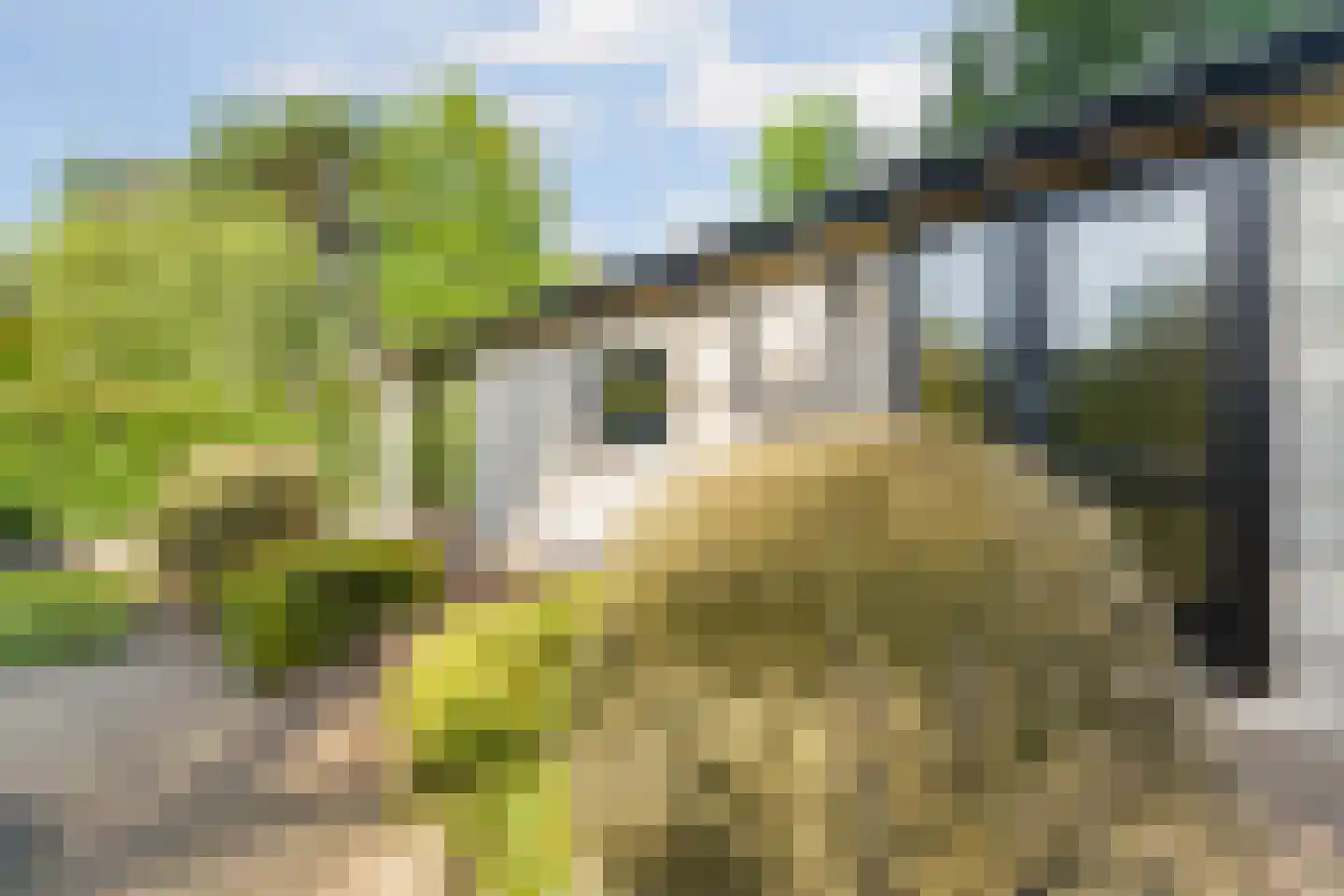 Ploegdijk 2 H359 Lochem thumbnail 4