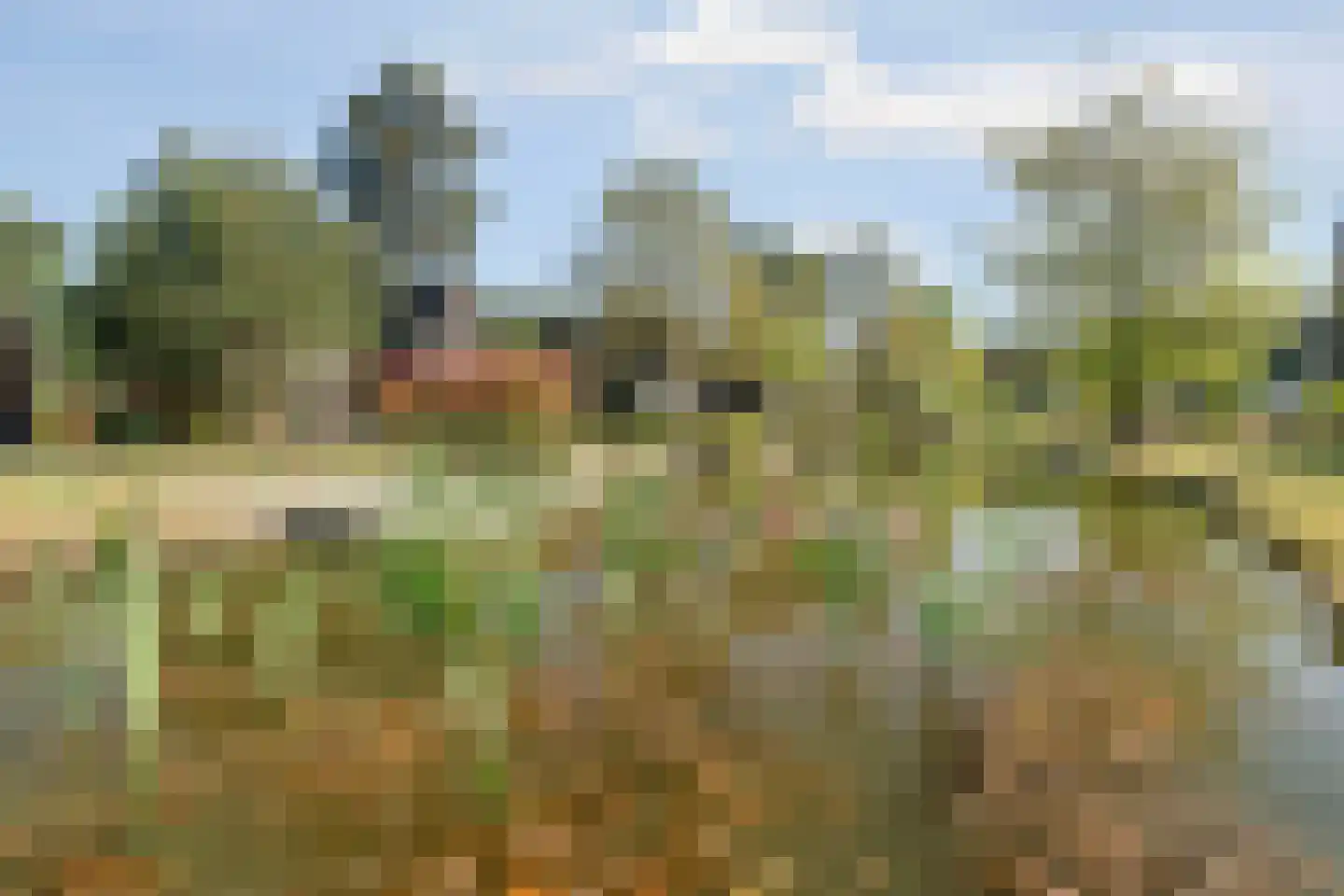 Ploegdijk 2 H359 Lochem thumbnail 41