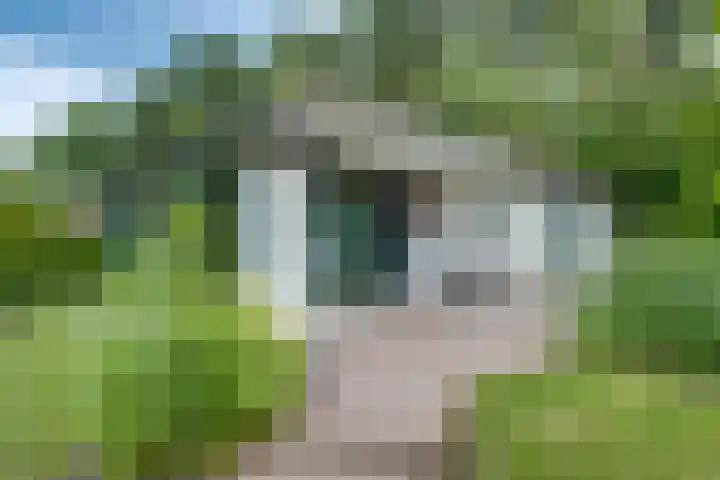 Ploegdijk 2 H361 in Lochem