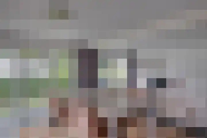 Ploegdijk 2 H361 Lochem thumbnail 10