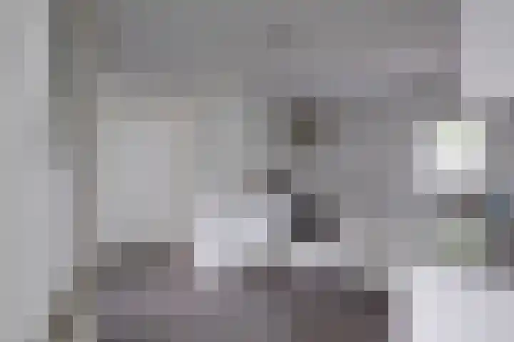 Ploegdijk 2 H361 Lochem thumbnail 14