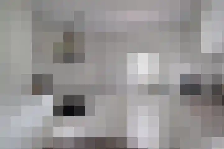 Ploegdijk 2 H361 Lochem thumbnail 15