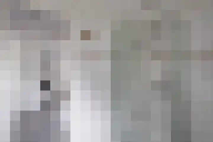 Ploegdijk 2 H361 Lochem thumbnail 23