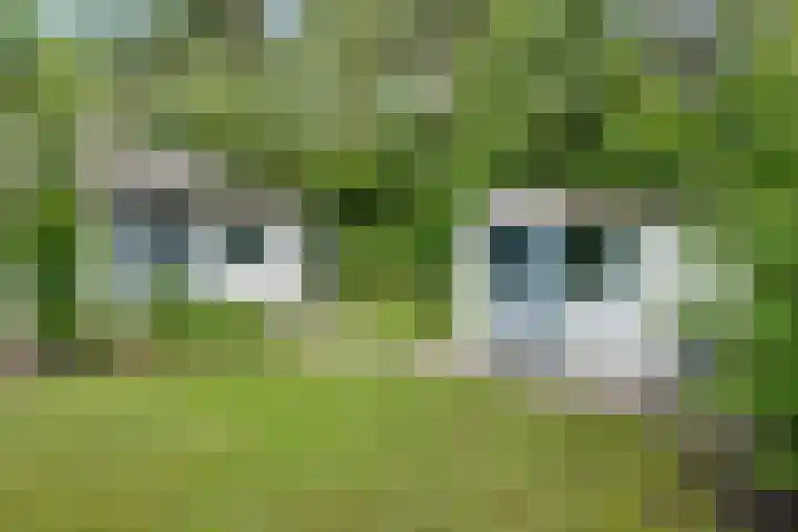 Ploegdijk 2 H361 Lochem thumbnail 29