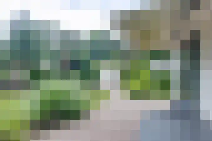 Ploegdijk 2 H361 Lochem thumbnail 32