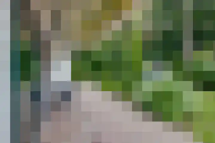 Ploegdijk 2 H361 Lochem thumbnail 33