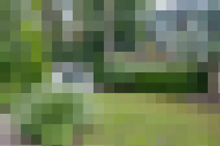 Ploegdijk 2 H361 Lochem thumbnail 34