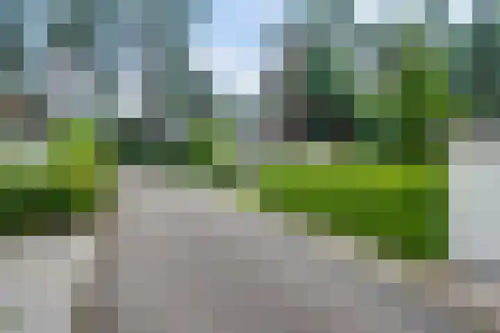 Ploegdijk 2 H361 Lochem thumbnail 35