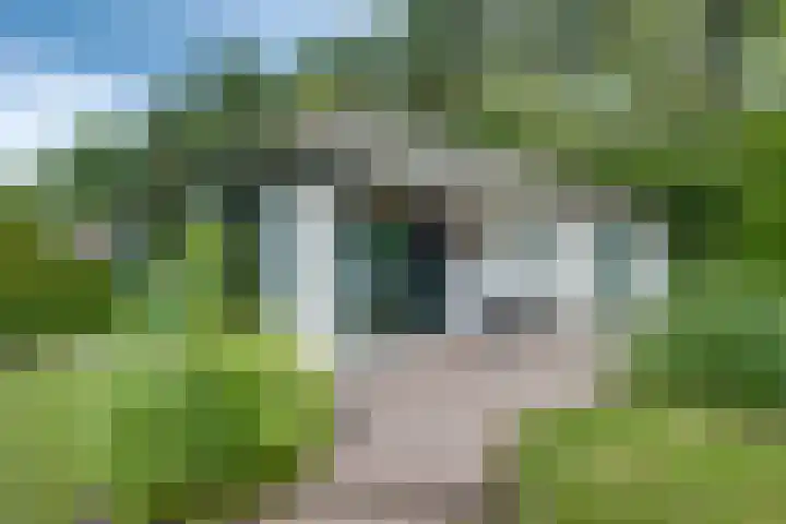 Ploegdijk 2 H361 Lochem thumbnail 5