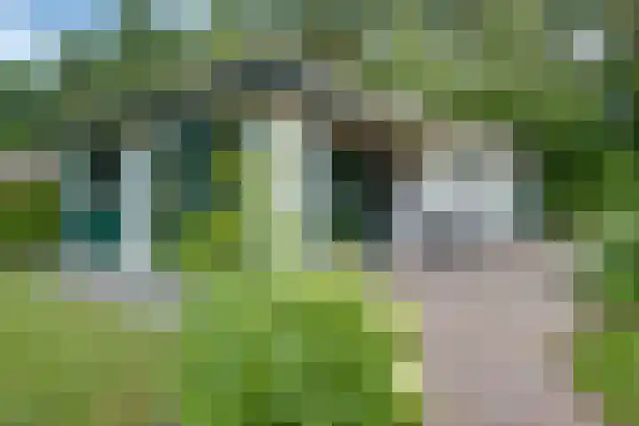 Ploegdijk 2 H361 Lochem thumbnail 6