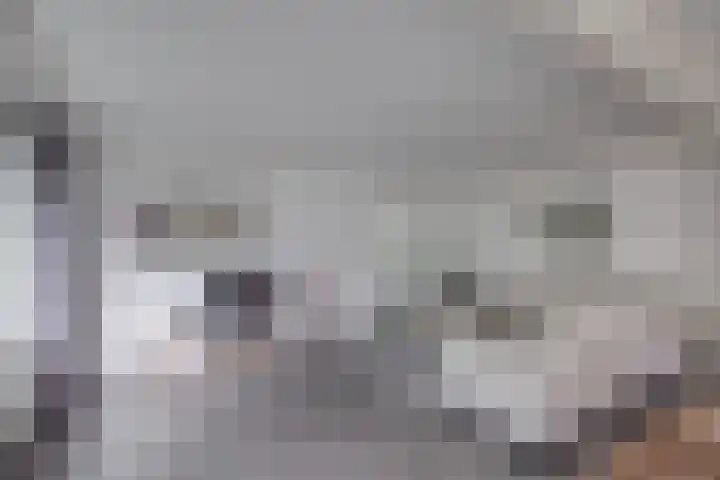 Ploegdijk 2 H361 Lochem thumbnail 8