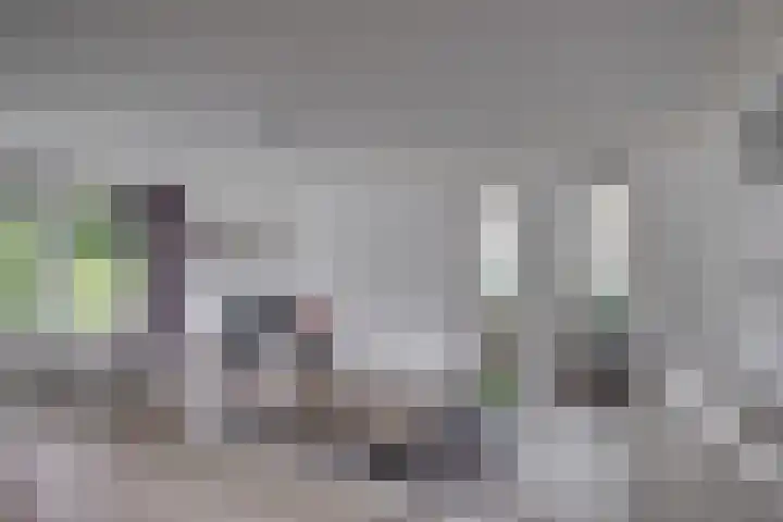 Ploegdijk 2 H361 Lochem thumbnail 9