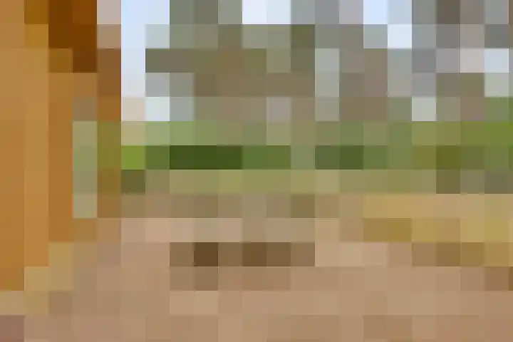 Ploegdijk 2 H403 Lochem thumbnail 22