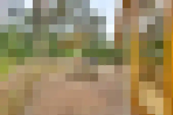Ploegdijk 2 H403 Lochem thumbnail 23