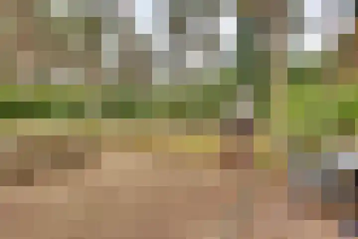 Ploegdijk 2 H403 Lochem thumbnail 24