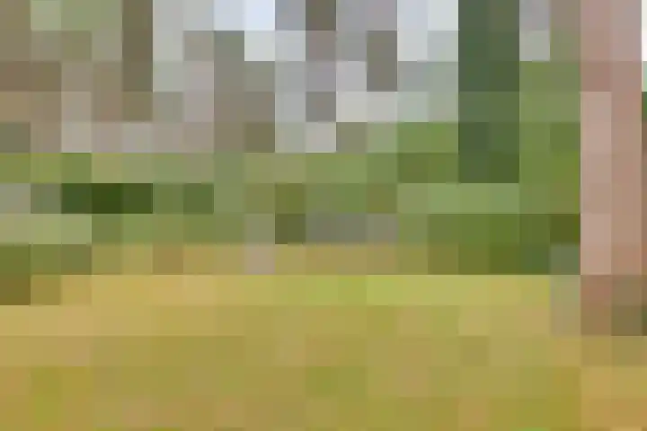 Ploegdijk 2 H403 Lochem thumbnail 25