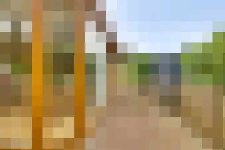 Ploegdijk 2 H403 Lochem thumbnail 26