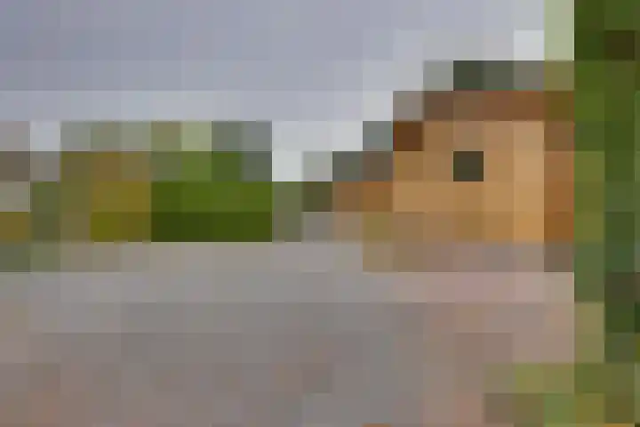 Ploegdijk 2 H403 Lochem thumbnail 27