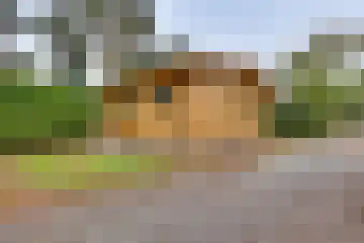 Ploegdijk 2 H403 Lochem thumbnail 4