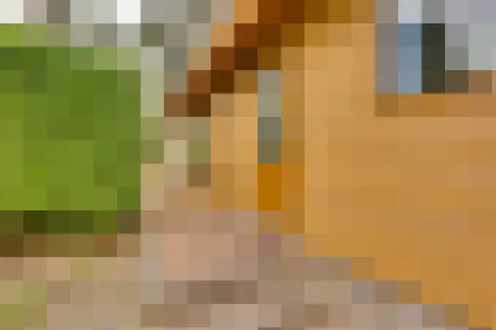 Ploegdijk 2 H403 Lochem thumbnail 5