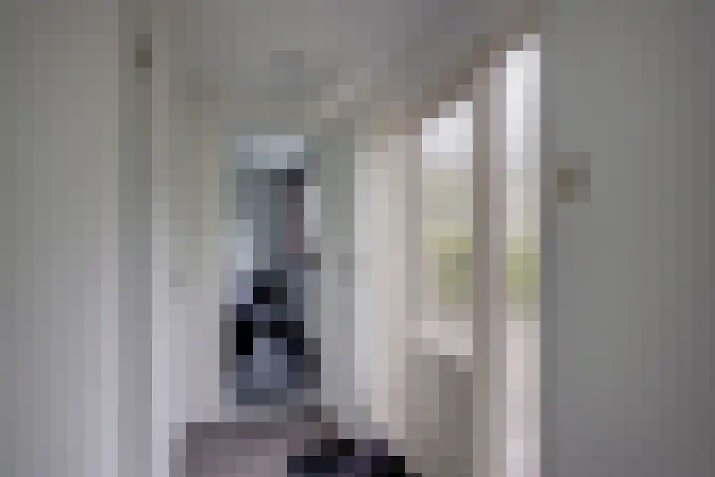 Ploegdijk 2 H424 Lochem thumbnail 23