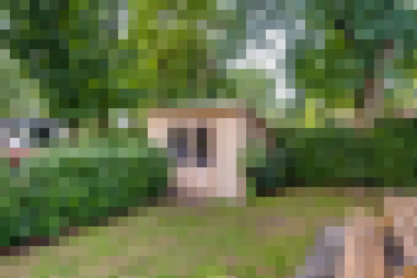 Ploegdijk 2 H424 Lochem thumbnail 35