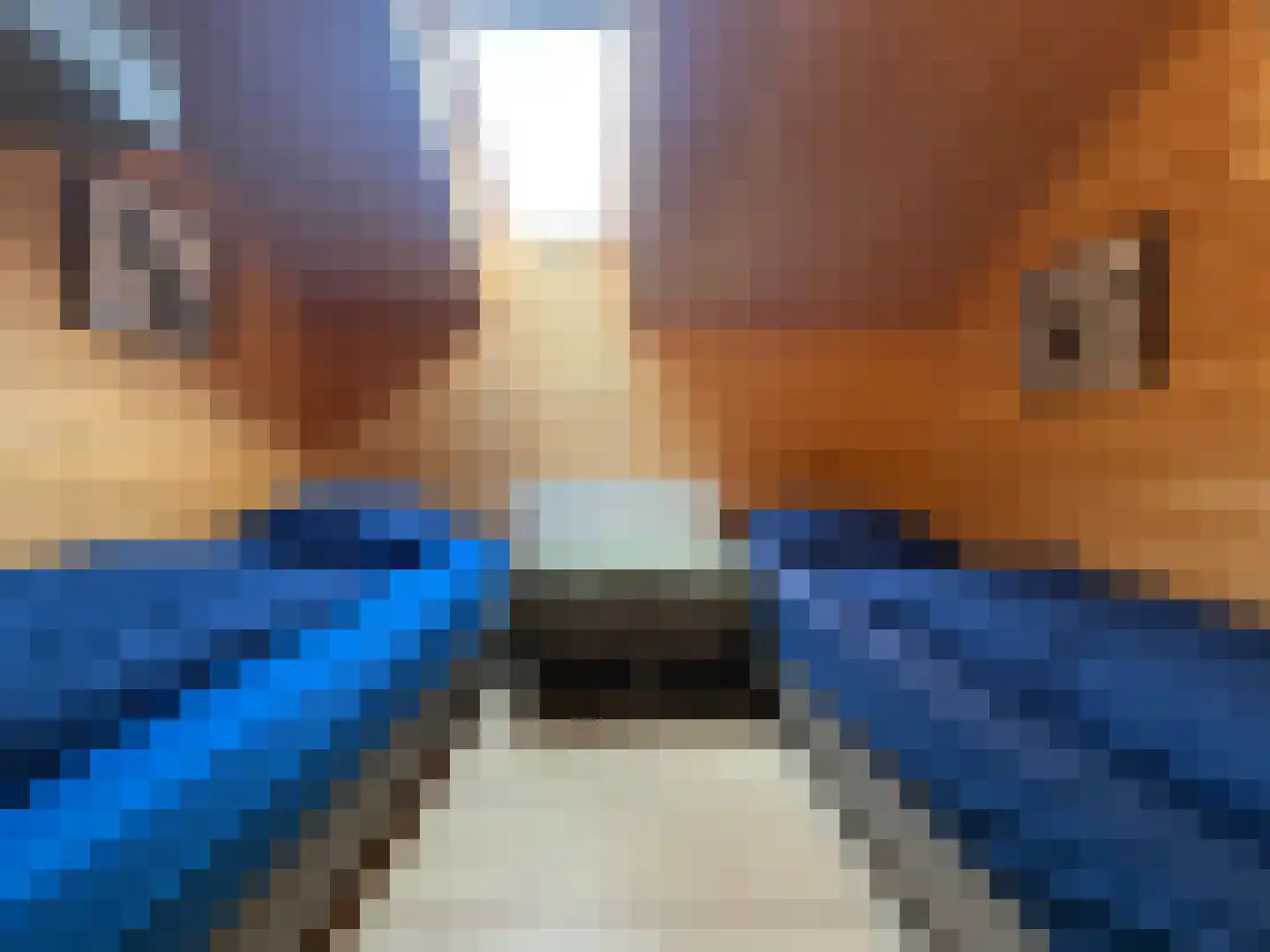 Ploegdijk 2 H432 Lochem thumbnail 13