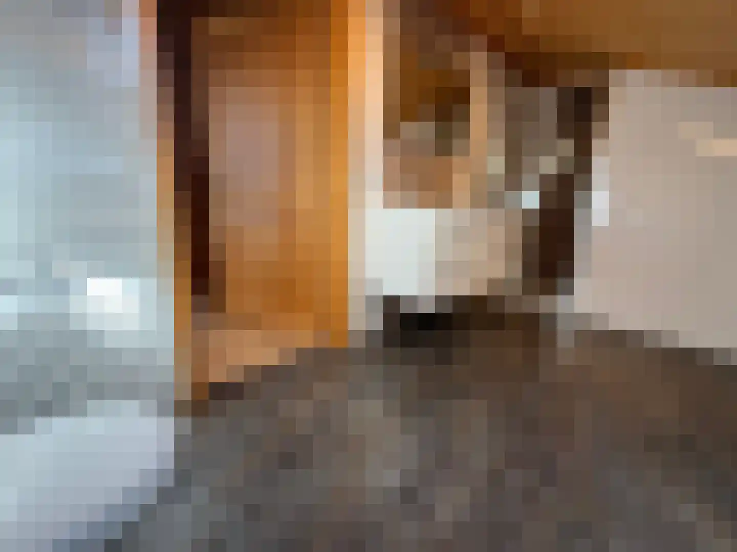 Ploegdijk 2 H432 Lochem thumbnail 16