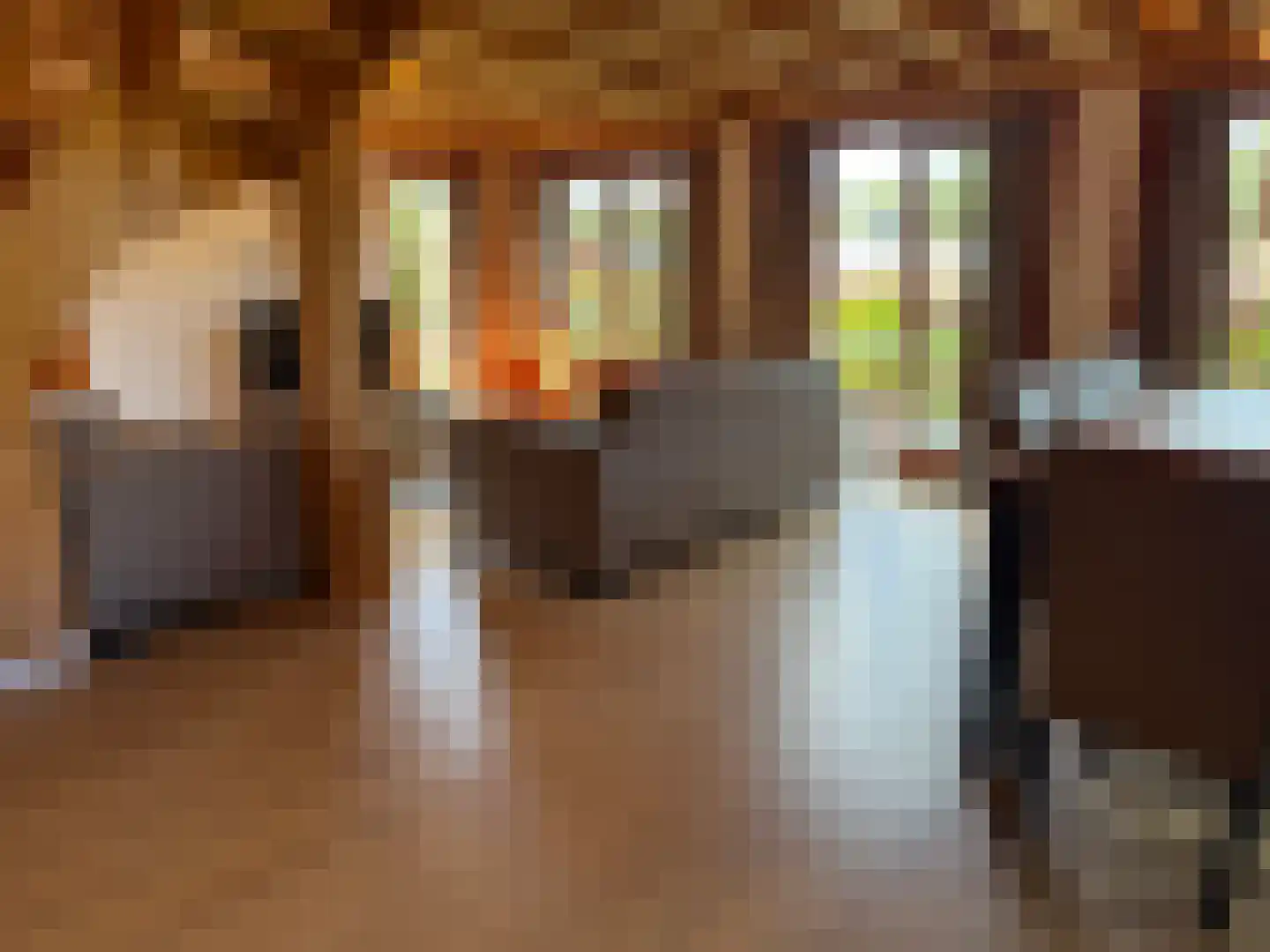Ploegdijk 2 H432 Lochem thumbnail 5