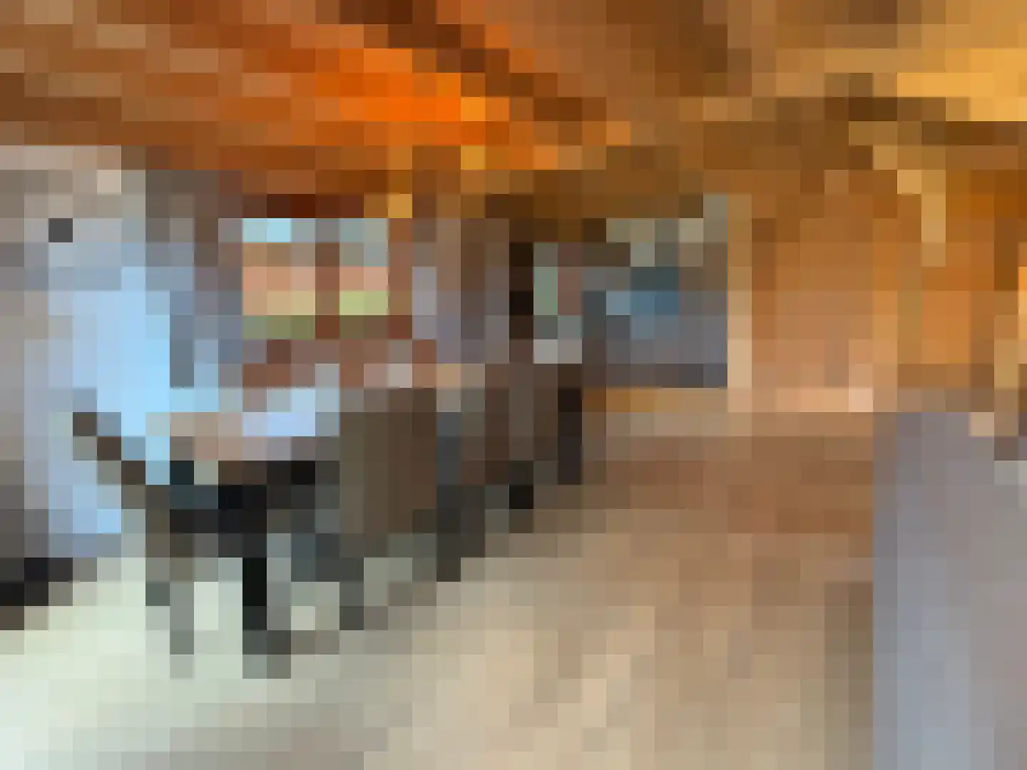 Ploegdijk 2 H432 Lochem thumbnail 6