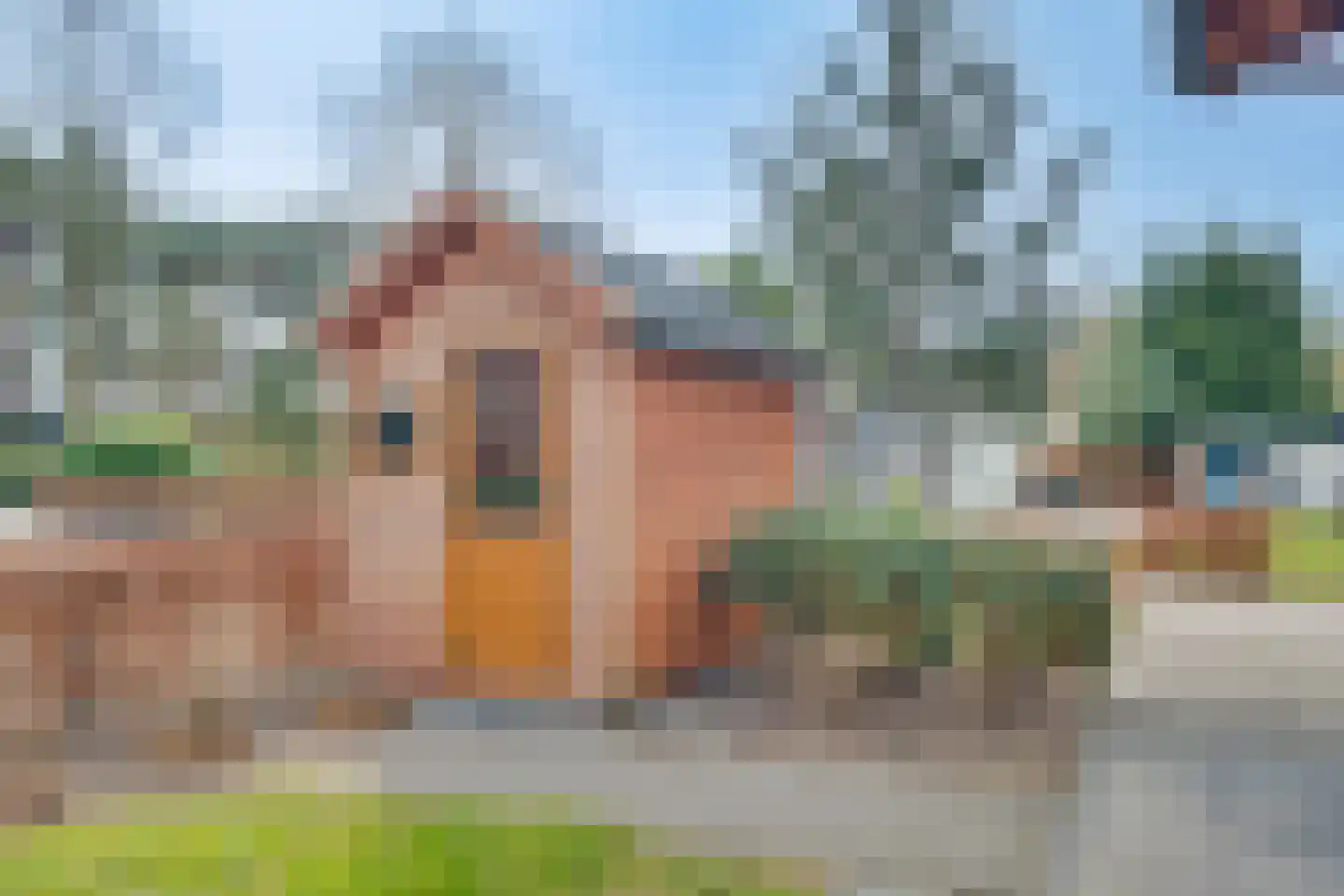 Ploegdijk 2 H437 Lochem thumbnail 45