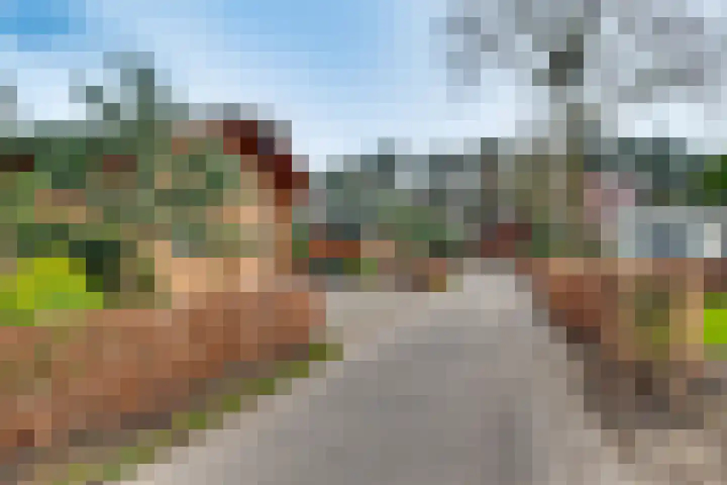Ploegdijk 2 H437 Lochem thumbnail 56