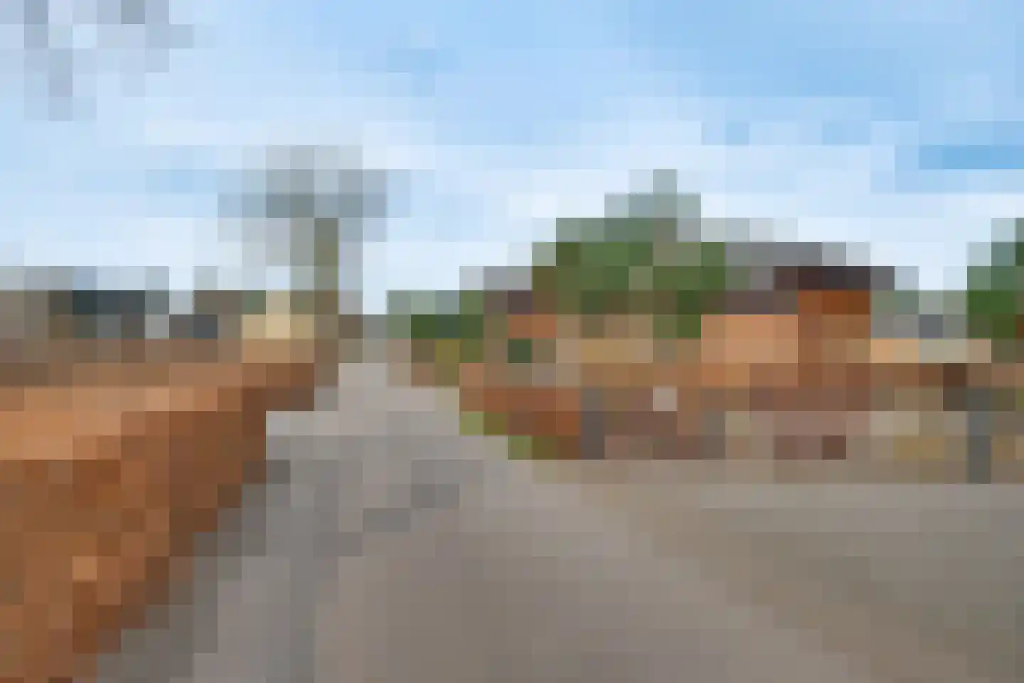 Ploegdijk 2 H437 Lochem thumbnail 57