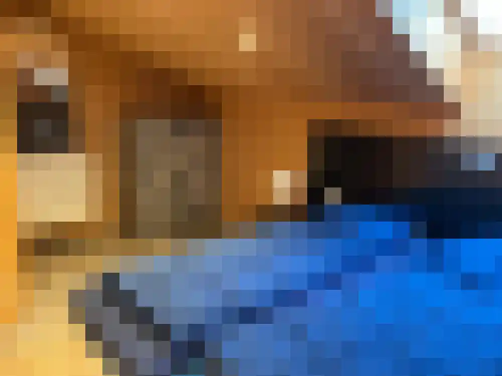 Ploegdijk 2 H439 Lochem thumbnail 17