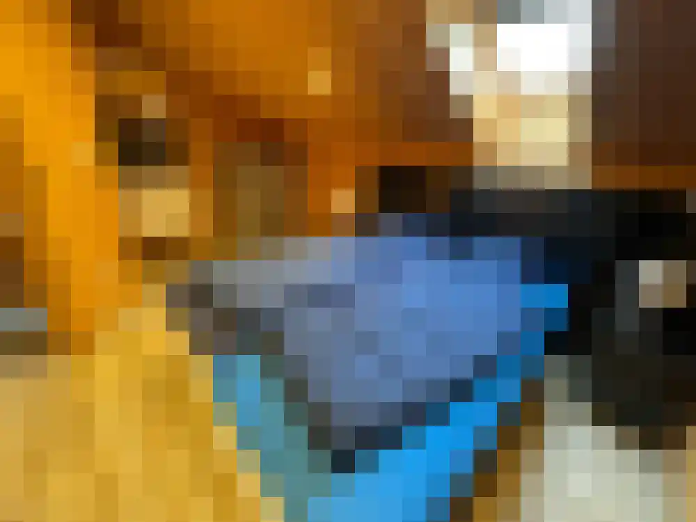 Ploegdijk 2 H439 Lochem thumbnail 18