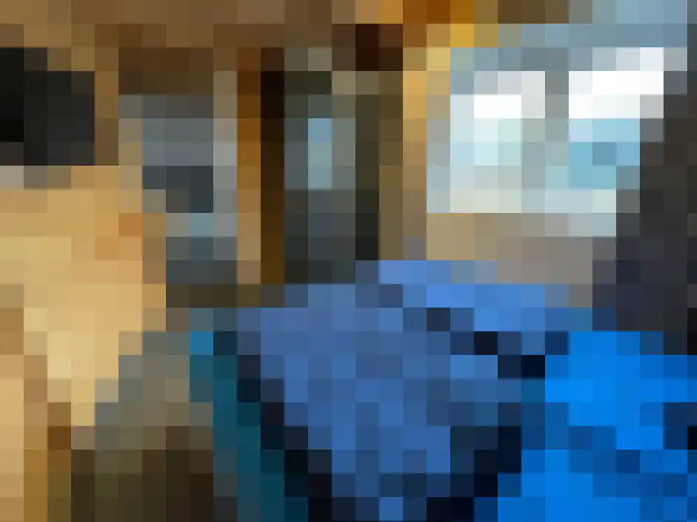 Ploegdijk 2 H439 Lochem thumbnail 19