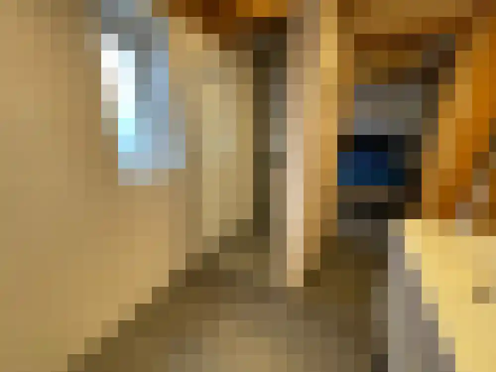Ploegdijk 2 H439 Lochem thumbnail 24