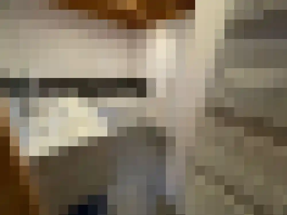 Ploegdijk 2 H439 Lochem thumbnail 26