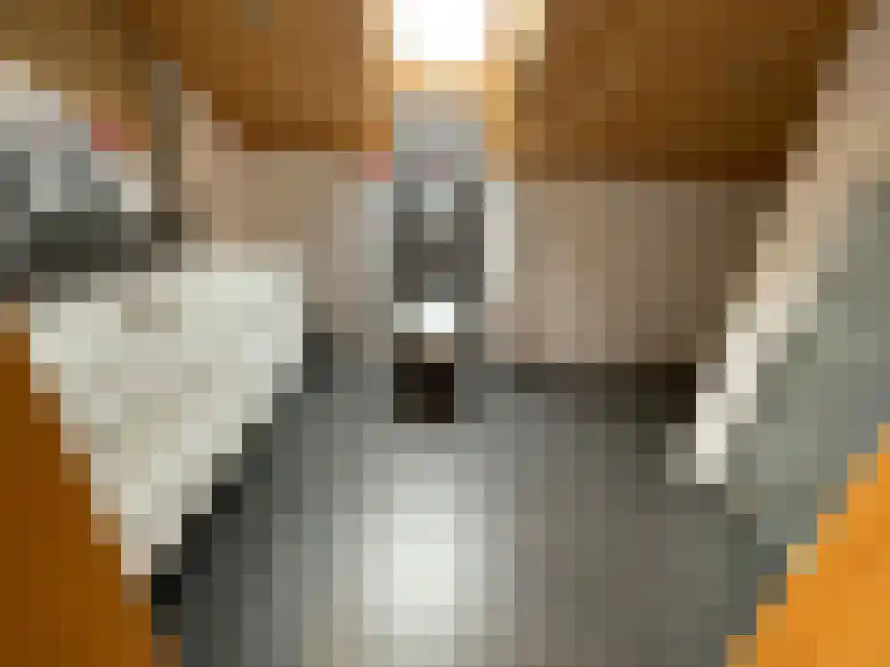 Ploegdijk 2 H439 Lochem thumbnail 31